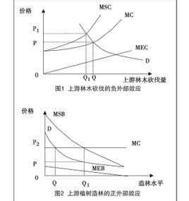 经济外部性是经济主体(包括厂商或个人)的经济活动对他人和社会造成的